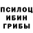 Галлюциногенные грибы Psilocybe Anna Shabir